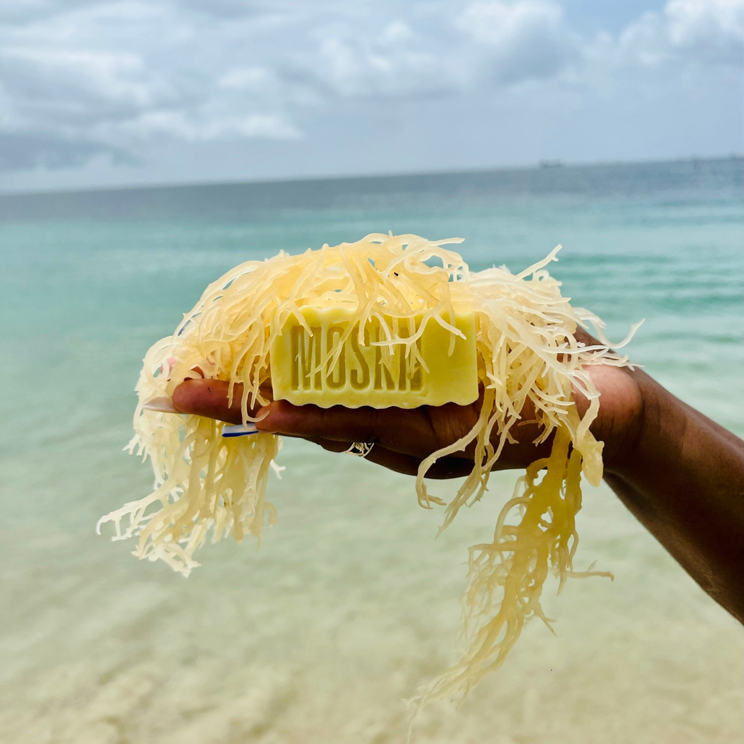 Exfoliating Sea Moss Bar